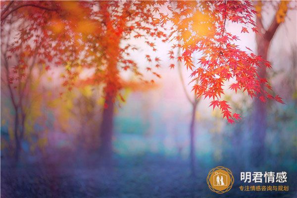結(jié)婚準備流程,婚禮準備注意事項