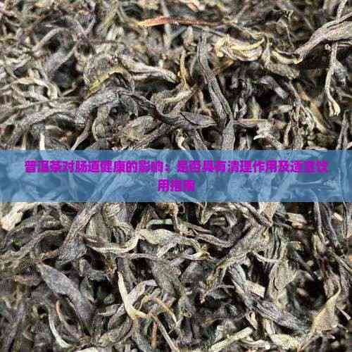 普洱茶对肠道健康的影响：是否具有清理作用及适宜饮用指南