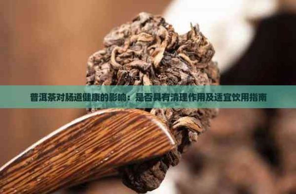 普洱茶对肠道健康的影响：是否具有清理作用及适宜饮用指南