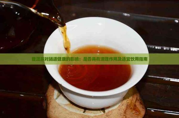 普洱茶对肠道健康的影响：是否具有清理作用及适宜饮用指南