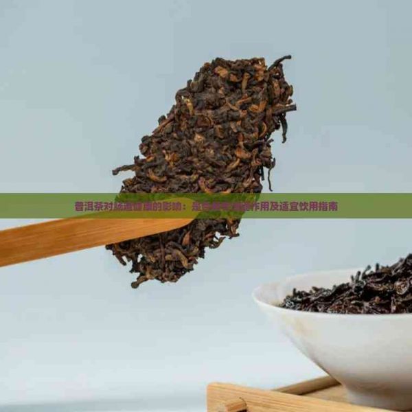 普洱茶对肠道健康的影响：是否具有清理作用及适宜饮用指南