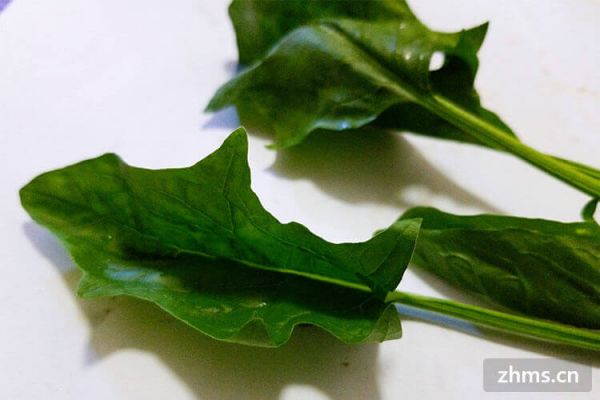 简单减肥晚餐食谱大全