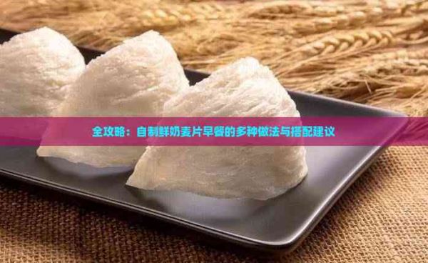 全攻略：自制鲜奶麦片早餐的多种做法与搭配建议