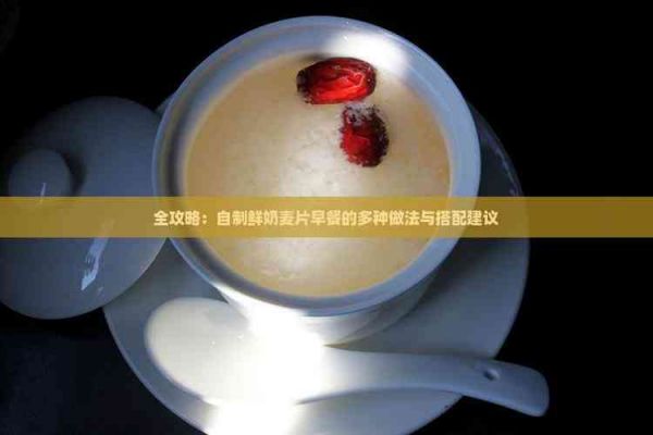 全攻略：自制鲜奶麦片早餐的多种做法与搭配建议