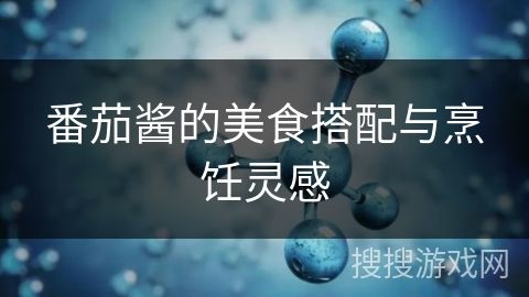 番茄酱的美食搭配与烹饪灵感