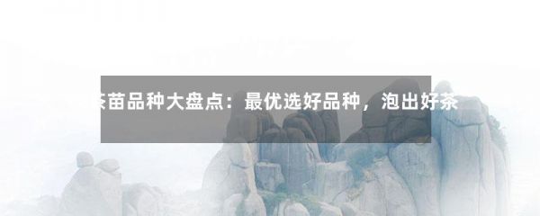 绿茶苗品种大盘点：最优选好品种，泡出好茶香-第1张-绿茶-凤凰单丛茶网