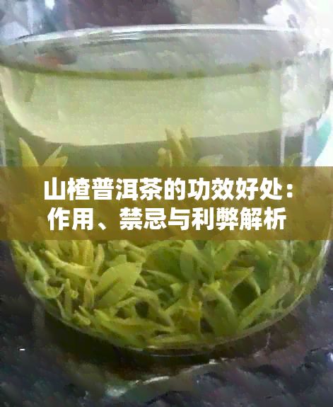 山楂普洱茶的功效好处：作用、禁忌与利弊解析
