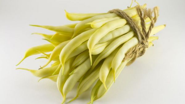 刀豆的功效與作用是什么