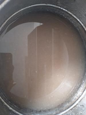 自制减肥圣品魔芋的做法 步骤2