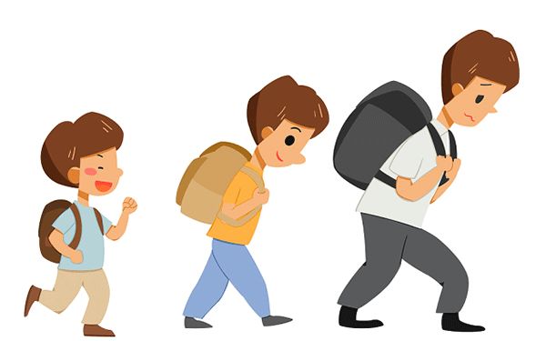 2025年减肥排名重要学校