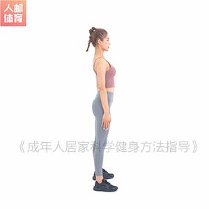 5个动作，在这个夏天练出完美下肢线条