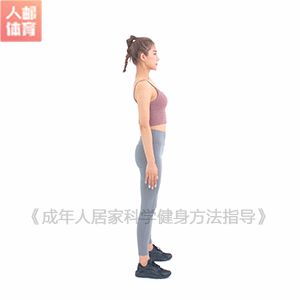 5个动作，在这个夏天练出完美下肢线条
