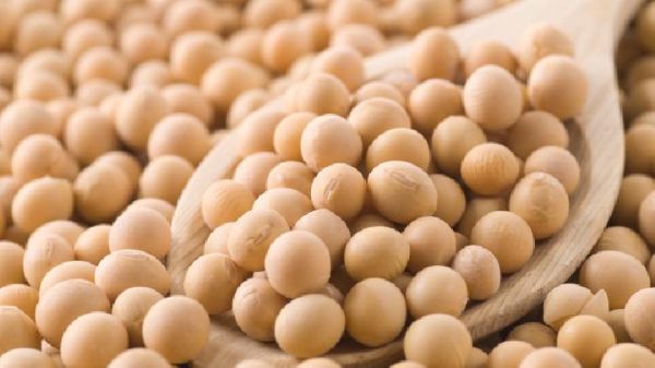 豆?jié){搭配哪些食材可以減肥？豆?jié){搭配哪些食材怎么能減肥