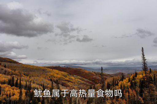 鱿鱼属于高热量食物吗