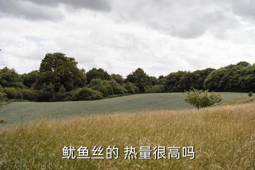  鱿鱼丝的 热量很高吗