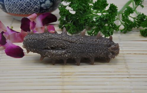 海参的热量及功效与作用2