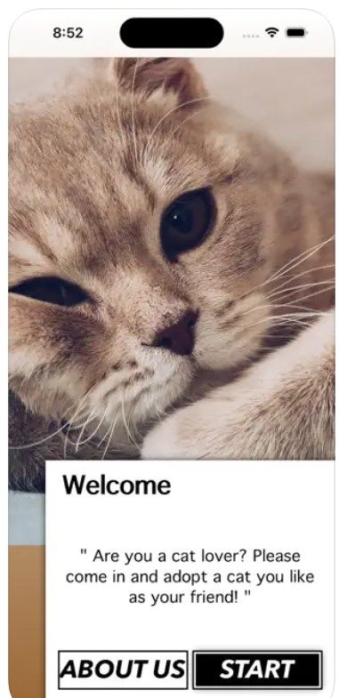 爱猫物语宠物店ios版截图1