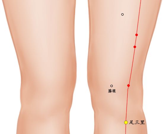 艾灸什么時候做最好 艾灸除濕氣灸部位圖片 艾灸的作用是什么