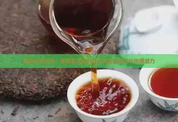 最新趋势分析：普洱茶市场前景与双重健康文化传播潜力