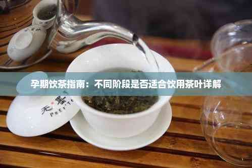 孕期饮茶指南：不同阶段是否适合饮用茶叶详解