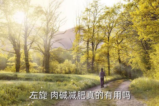  左旋 肉碱减肥真的有用吗