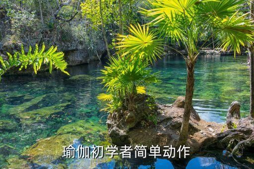 瑜伽初学者简单动作