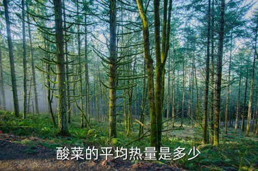 酸菜的平均热量是多少