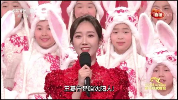优秀！央视兔年春晚90后主持人王嘉宁，其实是咱沈阳人！