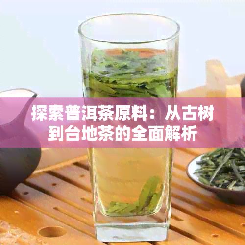 探索普洱茶原料:从古树到台地茶的全面解析