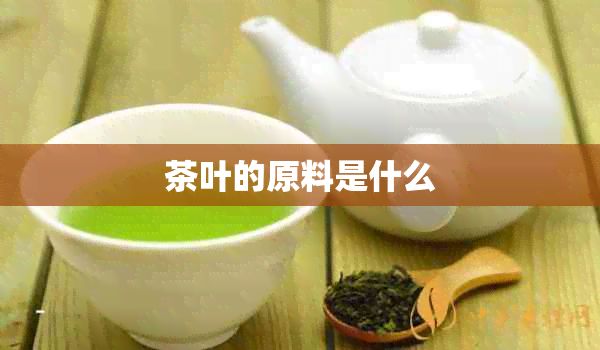 茶叶的原料是什么