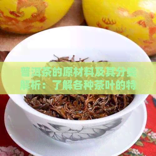 普洱茶的原材料及其分类解析：了解各种茶叶的特点与用途
