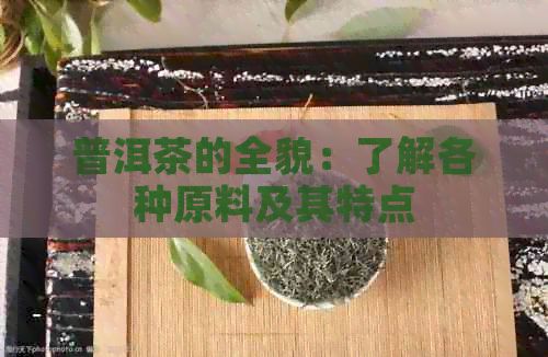 普洱茶的全貌：了解各种原料及其特点