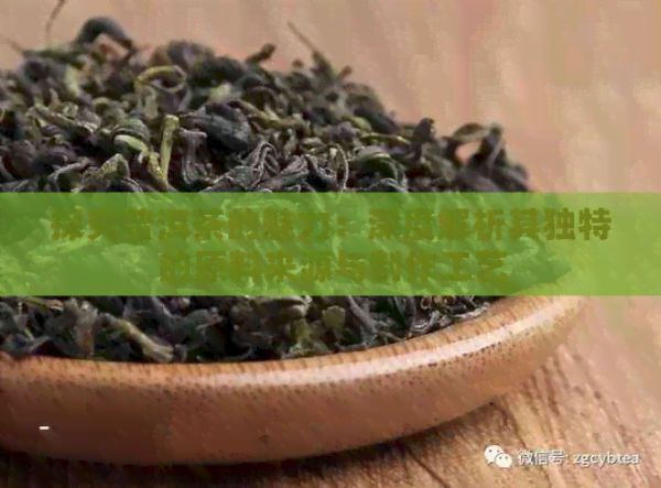 探究普洱茶的魅力：深度解析其独特的原料来源与制作工艺