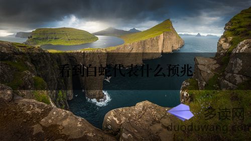 看到白蛇代表什么預(yù)兆