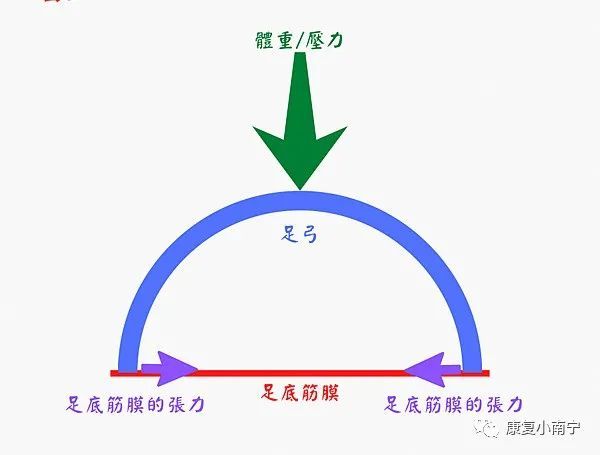 61011668814533588