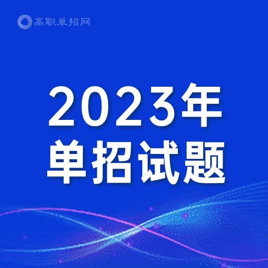 2024年重慶健康職業(yè)學院單招語文模擬試題