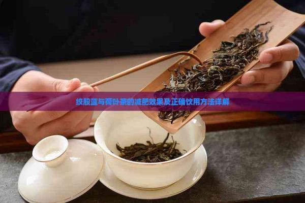 绞股蓝与荷叶茶的减肥效果及正确饮用方法详解