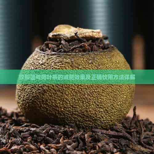 绞股蓝与荷叶茶的减肥效果及正确饮用方法详解