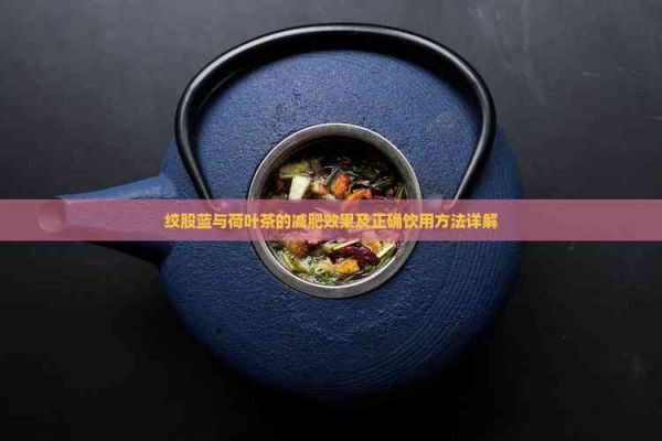 绞股蓝与荷叶茶的减肥效果及正确饮用方法详解