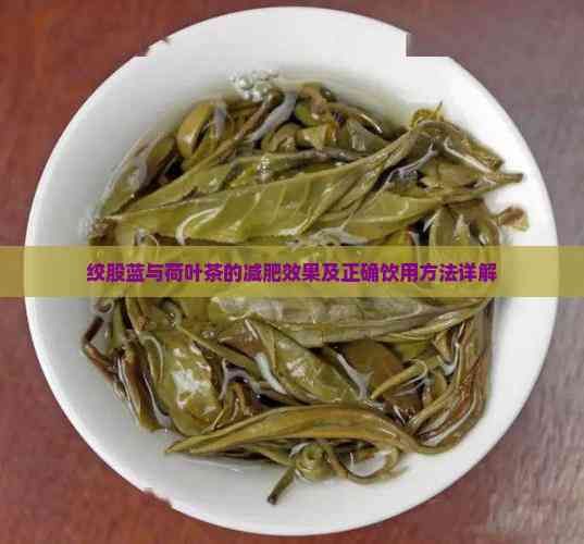 绞股蓝与荷叶茶的减肥效果及正确饮用方法详解