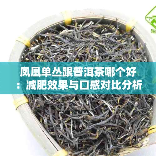 凤凰单丛跟普洱茶哪个好：减肥效果与口感对比分析
