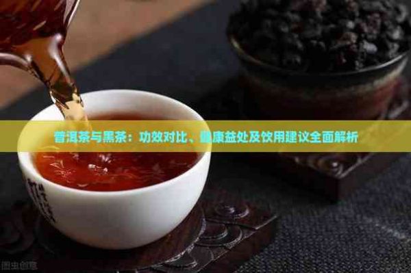普洱茶与黑茶：功效对比、健康益处及饮用建议全面解析