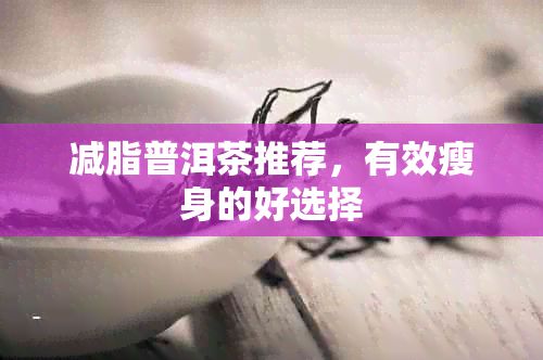 减脂普洱茶推荐，有效瘦身的好选择