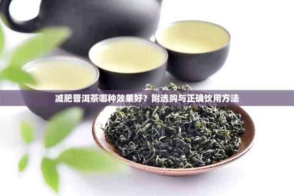 减肥普洱茶哪种效果好？附选购与正确饮用方法