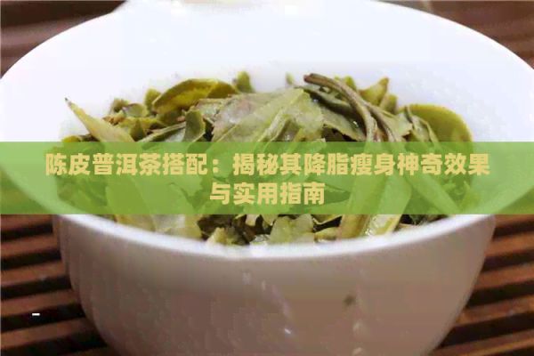 陈皮普洱茶搭配：揭秘其降脂瘦身神奇效果与实用指南