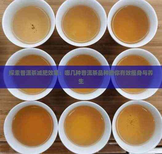 探索普洱茶减肥效果：哪几种普洱茶品种助你有效瘦身与养生