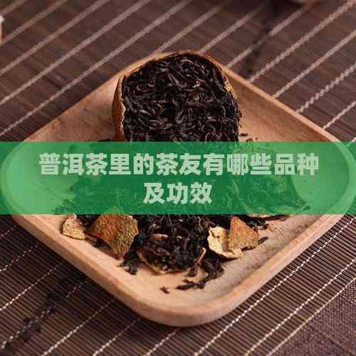 普洱茶里的茶友有哪些品种及功效