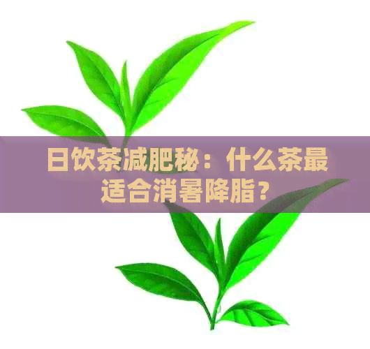 日飲茶減肥秘：什么茶最適合消暑降脂？