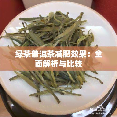 綠茶普洱茶減肥效果：全面解析與比較