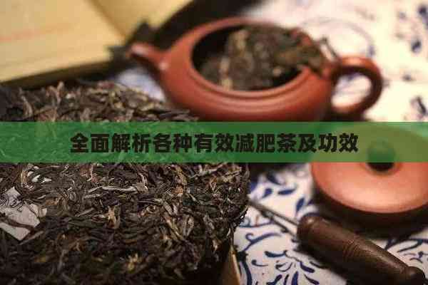 全面解析各種有效減肥茶及功效